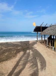 a long shadow of a person on the beach at Ceylon Salt & Soul in Arugam Bay