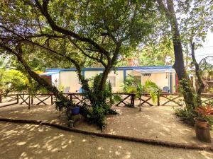 a house with a picnic table under a tree at Simberts Apartments in Maya Beach