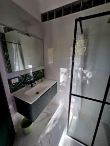 a bathroom with a sink and a mirror and a shower at Elycon House Bergamo - Locazione turistica a camere in Bergamo +32 photos