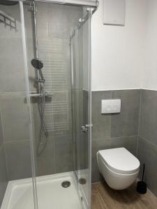 a bathroom with a shower with a toilet and a sink at Ferienwohnung zum Buchhellertal in Burbach