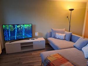 a living room with a couch and a flat screen tv at NaturGenuss Wittgenstein in Bad Laasphe