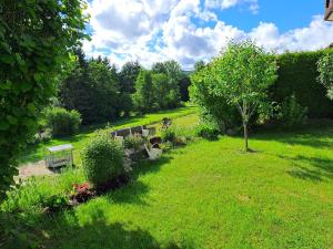 a garden with a bench and a tree in the grass at NaturGenuss Wittgenstein in Bad Laasphe +4 photos
