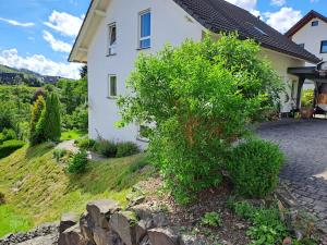 a house with a bush in front of it at NaturGenuss Wittgenstein in Bad Laasphe