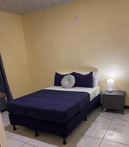 a bedroom with a bed with blue and white pillows at The Cozy House in Estelí