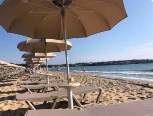 Gallery image of Amara Luxury Suites in Sozopol