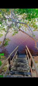 a wooden bridge over a body of water at Chalé Canto do Rio in Santo Amaro +1 photo