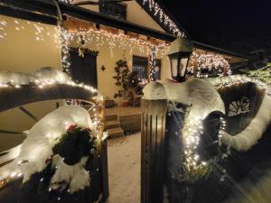 a house covered in christmas lights and snow at Deda Mrazova kućica in Knić