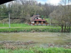 a house on a hill next to a river at Deda Mrazova kućica in Knić