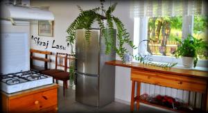 a kitchen with a stainless steel refrigerator and a stove at Skraj Lasu Kruklanki in Kruklanki