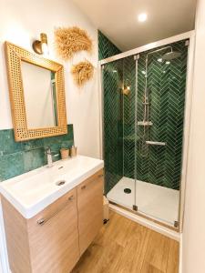 a bathroom with a shower and a sink and a mirror at L'oasis, studio hyper centre in Desvres