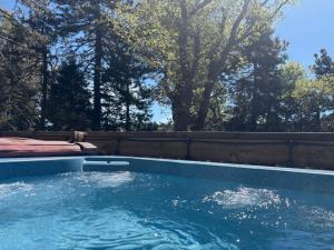 a swimming pool with blue water and trees in the background at Inside Out Cottage - One With Nature in Crest Park