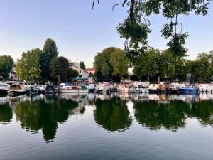 a bunch of boats are docked in a harbor at Riverside Studio Joinville-Le-Pont in Joinville-le-Pont