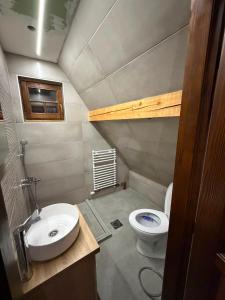 a small bathroom with a sink and a toilet at Winter Dream Vlašić in Šišava
