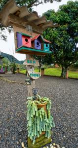 a bird house on a wooden post with a plant at Chalé Pé da Serra in Treviso