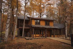 a log cabin in the woods at VT Coffee & Lodge in Curarrehue
