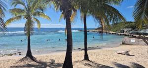 a beach with palm trees and people in the water at Le Nid Créole in Belle-Allée