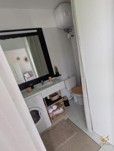 a bathroom with a washing machine and a mirror at Le Nid Créole in Belle-Allée