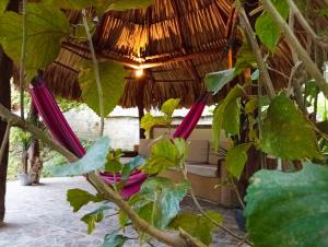 a bunch of purple onions hanging from a tree at A-típico in Santa Marta +6 photos