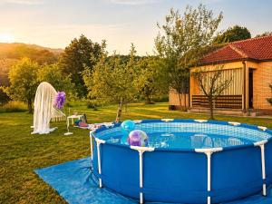 a blue tub in the yard with a ball in it at Green Cottage in Podgorica
