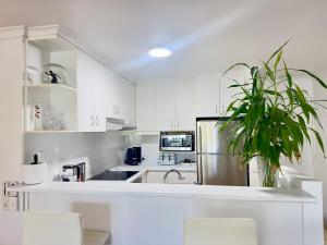 a kitchen with white cabinets and a potted plant at Noosa Luxury Apartment in Noosa Heads +19 photos