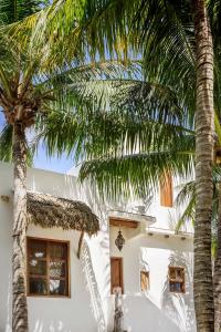 a palm tree in front of a white house at Holbox island Casa Impala in Holbox Island