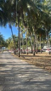 a row of palm trees on the side of a road at Novena bungalow Oeseli in Pulau Helihana