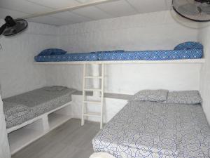 a bedroom with two bunk beds and a ladder at brisas costeña in Santa Marta
