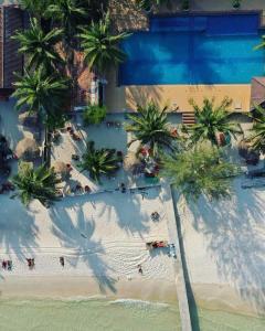 an overhead view of a beach with palm trees and a pool at Amor Resort Koh Rong in Koh Rong Island