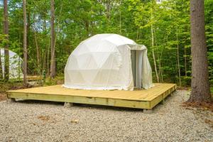 a tent on a wooden platform in the woods at Pleasant River Glamping Dome 3 King bed in Bethel +1 photo