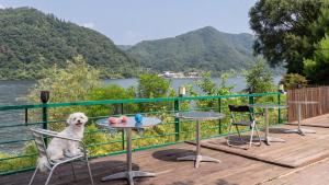 a white dog sitting on a chair next to a table at Gapyeong 516geullaemlaban in Gapyeong