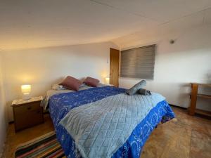 a bedroom with a bed with a blue comforter at Gatalegre Hostel in Valparaíso
