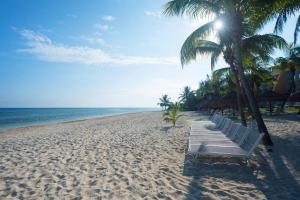 a beach with a row of chairs and palm trees at Zel Cozumel in Cozumel +46 photos