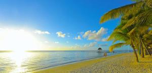 a sandy beach with palm trees and the ocean at Studio near Trou aux Biches beach, Chantilla Vie in Trou aux Biches