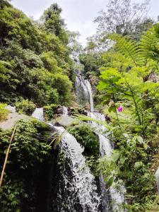 a waterfall in the middle of a forest at Mayong Awan Cita in Munduk