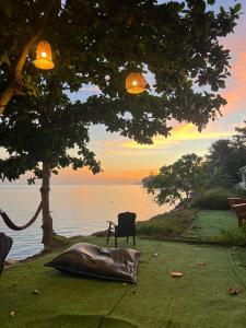 a chair sitting under a tree next to the water at Beach Yard Hostel in Ban Nua +15 photos