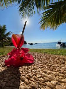 a drink sitting on a sandy beach with a palm tree at Ankavia Lodge in Sainte Marie