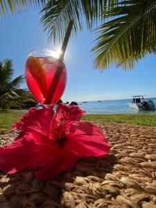 a red flower sitting on the beach with a drink at Ankavia Lodge in Sainte Marie