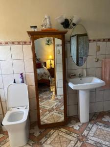 a bathroom with a toilet and a sink and a mirror at Edna's GuestHouse in Siquirres
