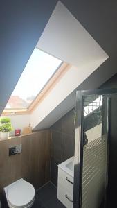 a bathroom with a toilet and a skylight at Tomberg 