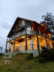 a house with a dog walking in front of it at Skye in Hortons in Pattipola
