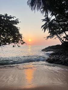 a sunset on a beach with a palm tree at Conjá Ecolodge in Porto Alegre