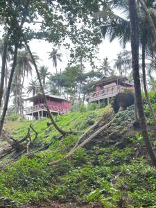 a house on top of a hill with palm trees at Conjá Ecolodge in Porto Alegre