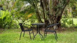two chairs and a table in front of a tree at Brunswick Palms 1 in Brunswick Heads