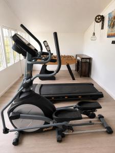a gym with a exercise bike in a room at Palmiro Cottage in Lapford