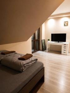 a living room with a bed and a television at Oko na Mogielice in Słopnice