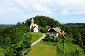 a church on top of a green hill with a road at Apartment Volk Turjaški in Gabrovka +6 photos