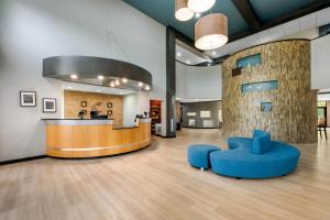 an office lobby with a reception desk and blue chairs at Comfort Suites New Bern near Cherry Point in New Bern +39 photos