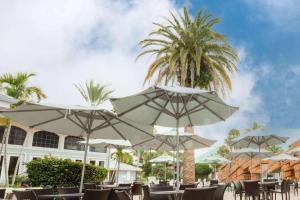 a patio with chairs and umbrellas and a palm tree at Radisson Resort at the Port in Cape Canaveral