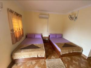 two beds in a room with purple pillows at Phnom leap Bugalow in Senmonorom
