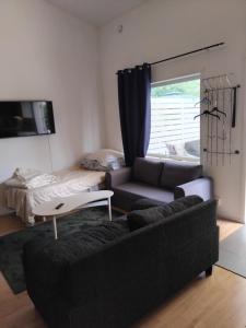 a living room with a couch and a bed at Gästrum in Halmstad